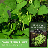 Green bush bean plants with hanging French slenderette beans shown outdoors, alongside a seed packet labeled Survival Garden Seeds Bush Bean French Slenderette and text noting compact bush plants and no trellis needed.