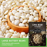 White lima beans scattered across the frame with a wooden bowl filled with them, plus a seed packet labeled 'Lima Bean Fordhook' and a green text banner describing the beans.