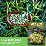 Lima bean seeds and pods with a label for 'Lima Bean Henderson' seeds on a wooden surface.