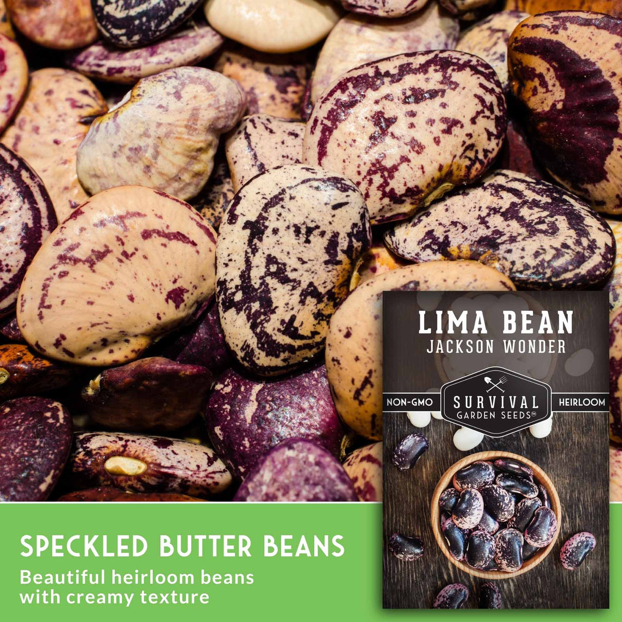 A close-up of assorted speckled butter beans with cream, tan, and dark purple marbling, plus a seed packet labeled 'Lima Bean Jackson Wonder' and a green text banner reading 'Speckled Butter Beans.'.