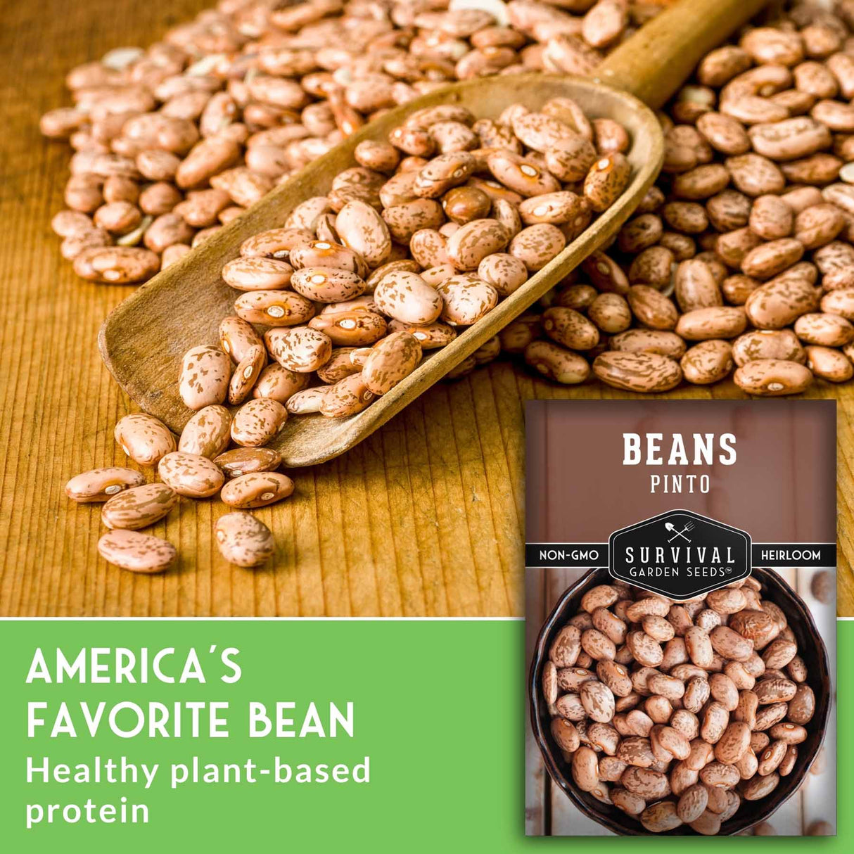 Pinto beans with a wooden scoop and 'Survival Garden Seeds' packaging on a wooden surface.