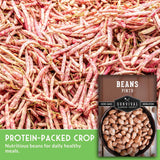 Pinto beans with a package labeled 'Survival Garden Seeds' on a green background