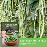 Seedling packaging and growing scene for Survival Garden Seeds Asparagus Bean. The left side shows a product card with a bowl of harvested green beans and the text 'ASPARAGUS BEAN YARD LONG' and 'BUILT FOR SUMMER HEAT Keeps producing in hot weather.