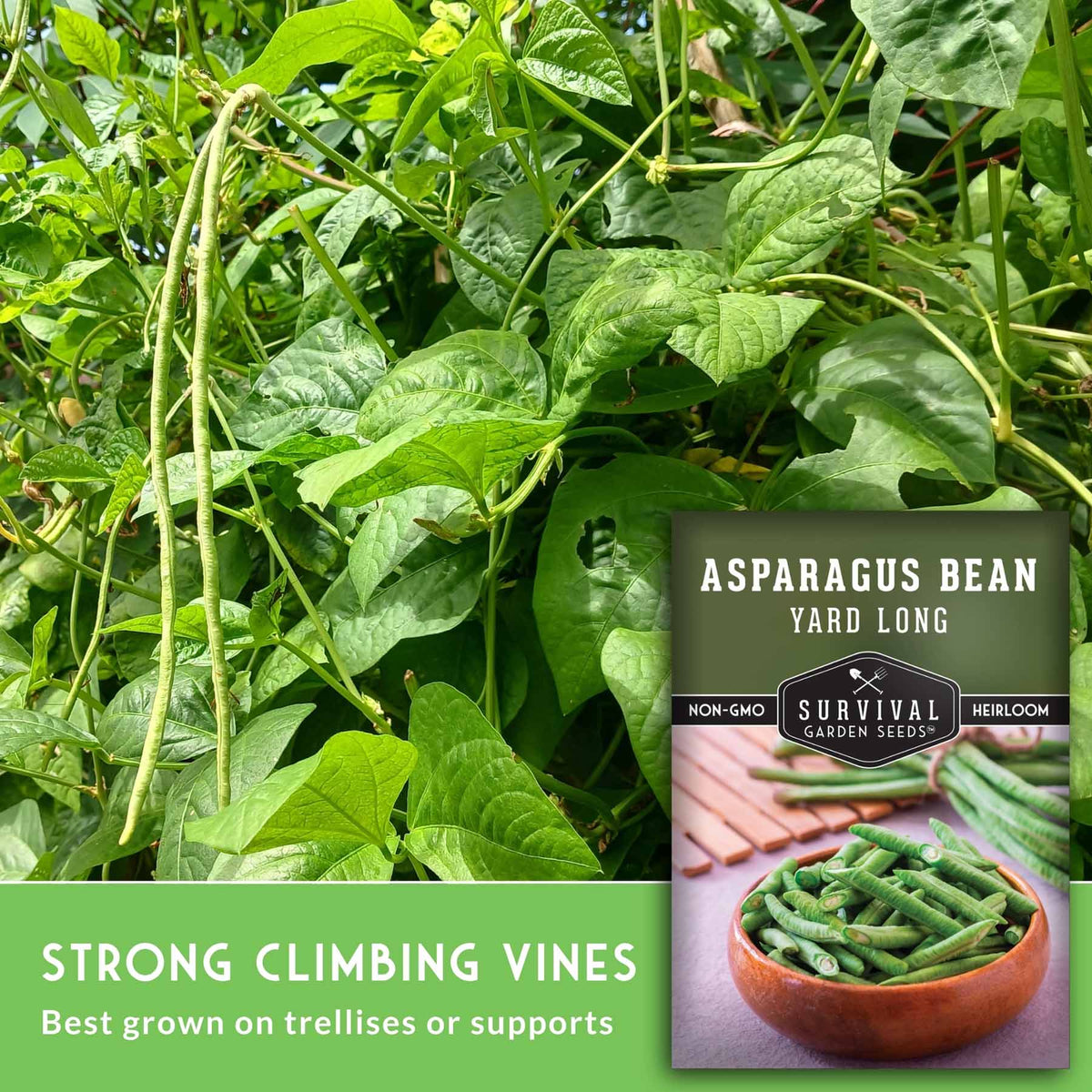 Green asparagus bean plants growing outdoors, with a product label overlay reading 'ASPARAGUS BEAN YARD LONG' and a banner that says 'STRONG CLIMBING VINES Best grown on trellises or supports.'.