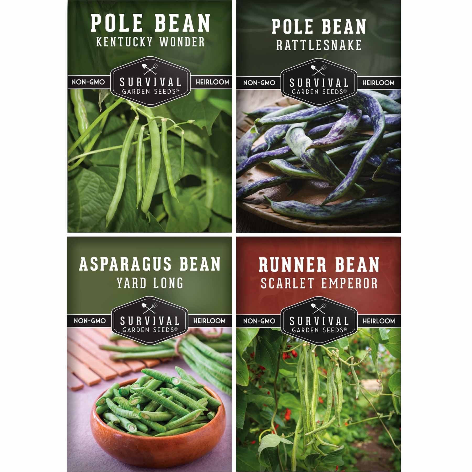 Pole Bean Collection – 4 Heirloom Climbers – SurvivalGardenSeeds