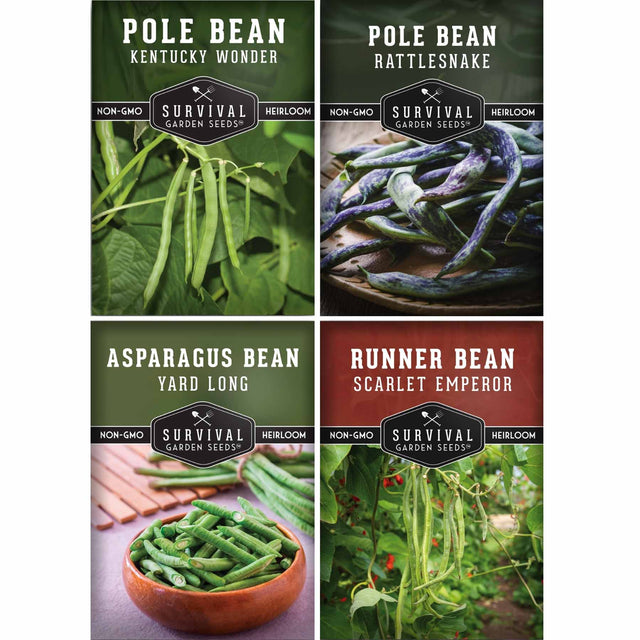 Four packages of different types of beans with images and text on a white background.