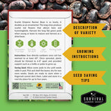 A seed-saving and growing information card for Scarlet Emperor Runner Bean seeds by Survival Garden Seeds, set against a green background with a photo of the beans at the top and yellow callout banners on the right.