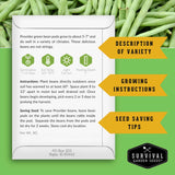 An informational leaflet from Survival Garden Seeds about growing Provider green beans, shown on a green background with bean pods. The leaflet includes a white envelope, growth icons, planting instructions, seed-saving tips, and three yellow callout banners labeled Description of Variety, Growing Instructions, and Seed Saving Tips.