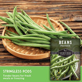 Fresh green stringless pods displayed on a round woven bamboo plate over a rustic wooden table, with a seed packet labeled Beans Provider Survival Garden Seeds and text reading 'Stringless Pods' at the bottom.