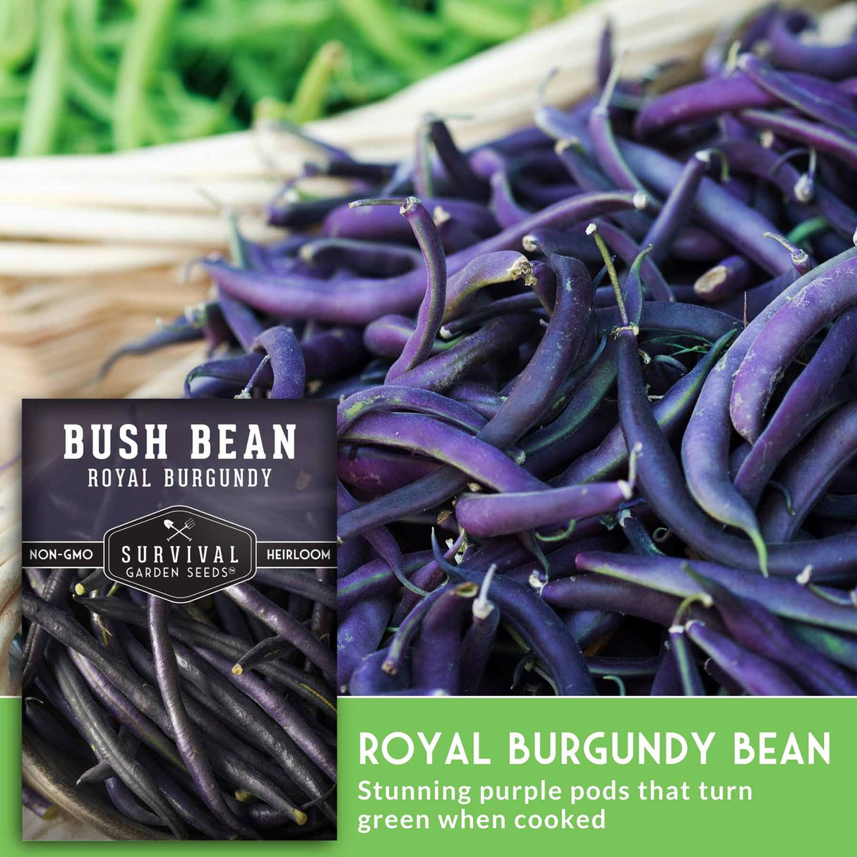 Royal Burgundy Bush Beans in a basket with seed packet image
