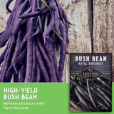 High yield bush bean