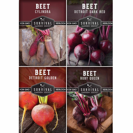 Beet Collection 4 Packets of Beet Seeds