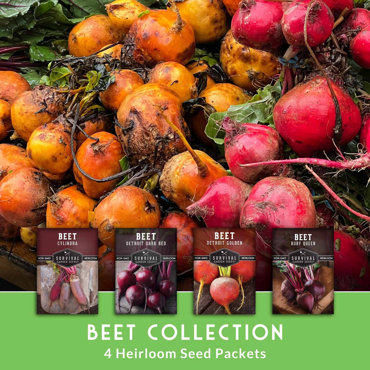 Beet Collection 4 heirloom seed packets