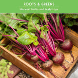 fresh beets with text that says Roots and Greens