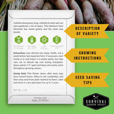 A product information card for Cylindra beet seeds from Survival Garden Seeds, set against a background of fresh beet roots. The card features growing tips, instructions, and seed-saving advice with green icons and yellow callout banners.