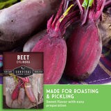 Beet seed product graphic showing fresh red beets, a beet seed packet labeled Survival Garden Seeds Beet Cylindra, and text stating 'Made for Roasting & Pickling' on a green banner.