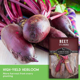 Fresh red beets with deep purple-red tops arranged on a light surface, alongside a seed packet labeled 'Beet Cylindra' and a green text banner reading 'High-Yield Heirloom More harvest from every planting.'.