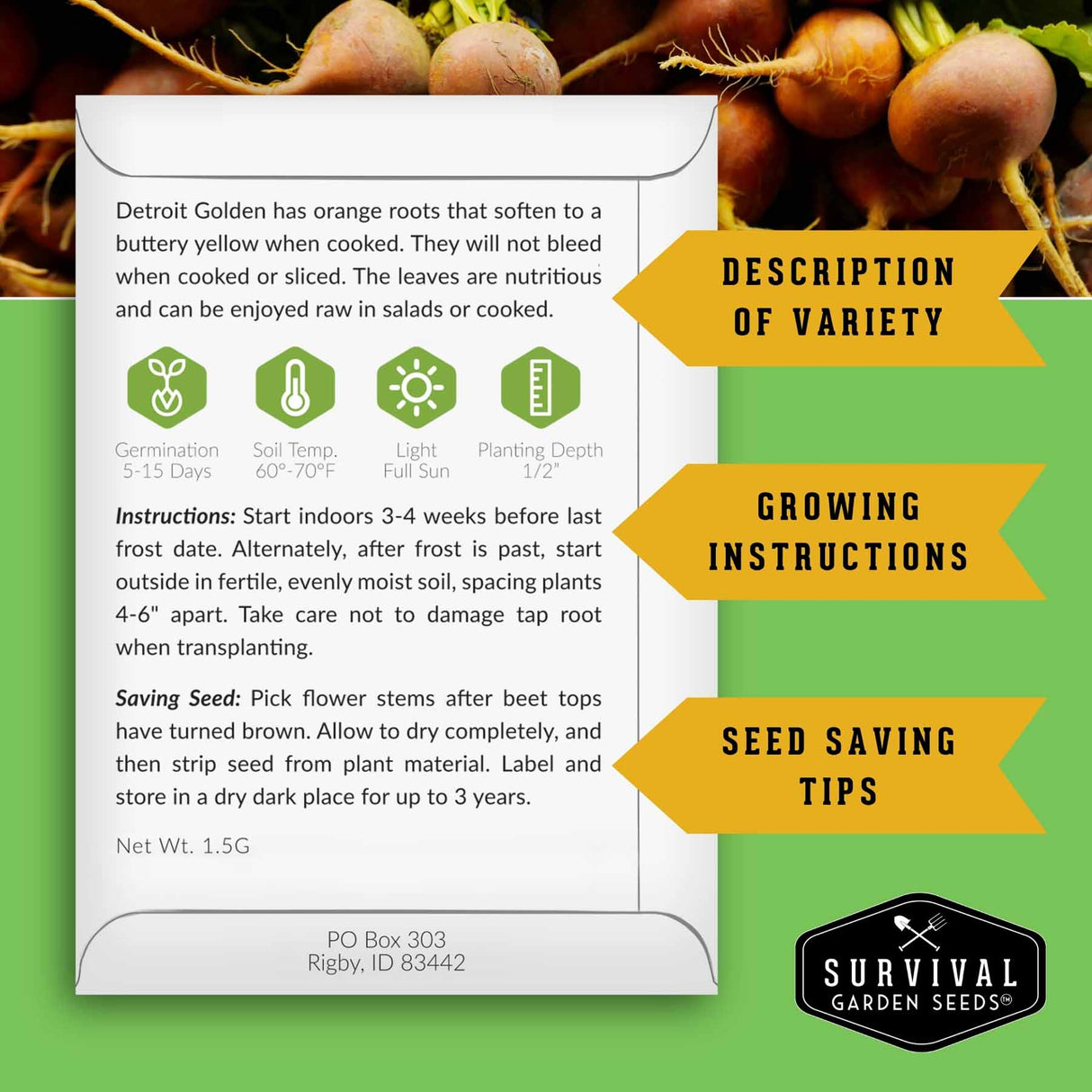 A product information card for Detroit Golden beet seeds, featuring growing instructions, seed saving tips, and variety description. The card is set against a green background with a photo of ripe beets in the top right and three yellow callout banners on the right labeled 'DESCRIPTION OF VARIETY', 'GROWING INSTRUCTIONS', and 'SEED SAVING TIPS'.