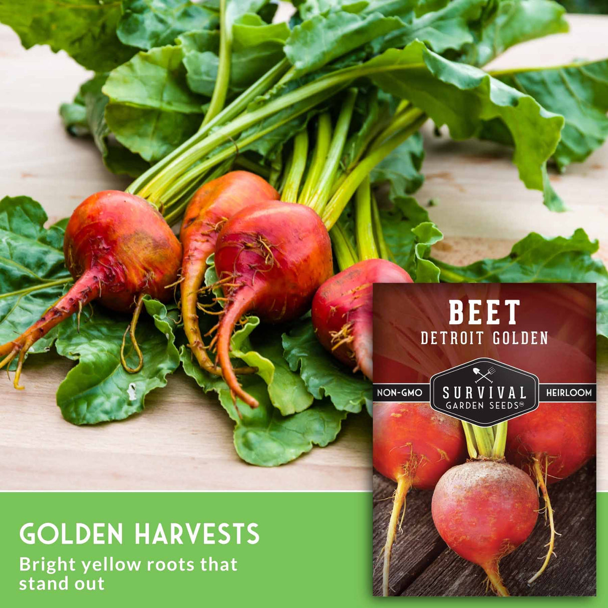 Fresh orange beets with green leafy tops arranged on a light wood surface beside a seed packet labeled 'Beet Detroit Golden' and a green banner reading 'Golden Harvests Bright yellow roots that stand out.'.