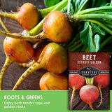 Fresh Detroit Golden beets with green tops and yellow roots shown alongside a seed packet labeled 'Beet Golden' and 'Survival Garden Seeds.' Text at the bottom reads 'Roots & Greens Enjoy both tender tops and golden roots.
