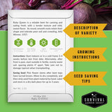 An informational product graphic for Survival Garden Seeds featuring a white card with text and icons about the Ruby Queen beet variety, alongside yellow callout banners reading 'Description of Variety,' 'Growing Instructions,' and 'Seed Saving Tips,' with beet roots in the background.