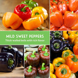 Collage of various types of peppers with text 'Mild Sweet Peppers' and description.