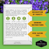 A product information card for Tussock Bellflower from Survival Garden Seeds, featuring growing instructions, seed saving tips, and variety description, set against a background of blooming purple bellflowers with green and yellow graphic callout arrows.
