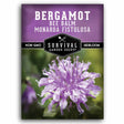 Seed packet for Survival Garden Seeds Bergamot Bee Balm (Monarda Fistulosa), featuring a purple header, a central black logo badge, and a close-up photo of a purple flower on a blurred green background.