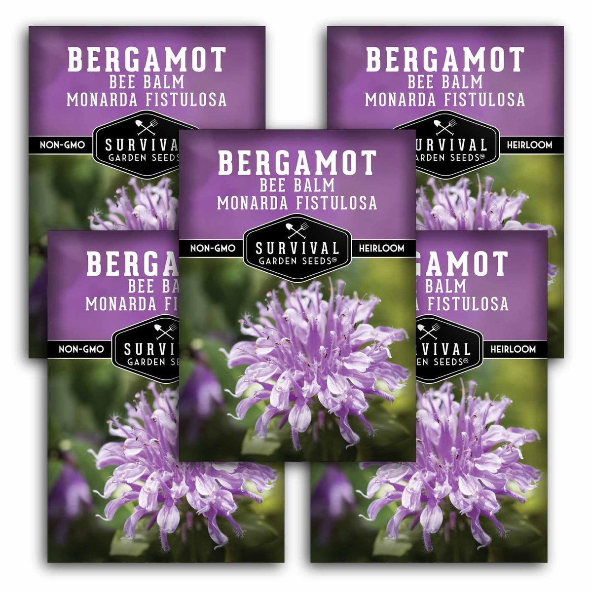 Five seed packets for Survival Garden Seeds Bergamot Bee Balm Monarda Fistulosa arranged in a fan shape. The packets are purple with a photo of purple and white flowers and black text.