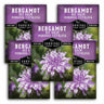 Five seed packets for Survival Garden Seeds Bergamot Bee Balm Monarda Fistulosa arranged in a fan shape. The packets are purple with a photo of purple and white flowers and black text.