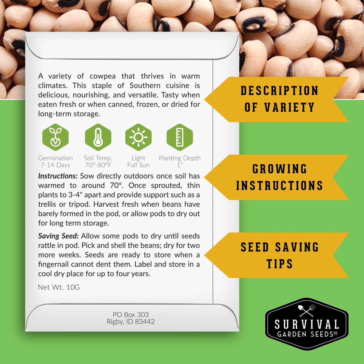 Seed packet for cowpea with growing instructions and seed saving tips on a green background.