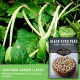 Black-eyed peas with a seed packet labeled 'Survival Garden Seeds' on a green leafy background.