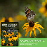Seed packet for 'Black-Eyed Susan' by Survival Garden Seeds shown next to a real-life photo of a butterfly on a yellow flower, with a green banner at the bottom reading 'POLLINATOR FAVORITE'.