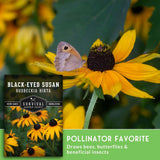 Seed packet for Black-Eyed Susan seeds shown over a real garden scene with a butterfly on a yellow flower, plus marketing text reading 'Pollinator Favorite' and 'Draws bees, butterflies & beneficial insects.' Because a real outdoor environment and animal are present, this fits Lifestyle rather than Product/Packaging, even though the packet is also visible.