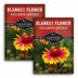 Two packages of Survival Garden Seeds Blanket Flower seeds with red and yellow flowers on a white background.