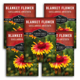 5 packets of Blanket Flower seeds