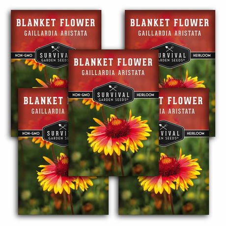 5 packets of Blanket Flower seeds