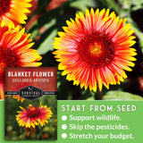 Blanket flower and seed packet with text that says Start from Seed
