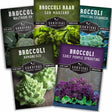 Five packages of Survival Garden Seeds with different types of broccoli on a white background
