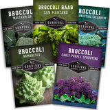 Five packages of Survival Garden Seeds with different types of broccoli on a white background