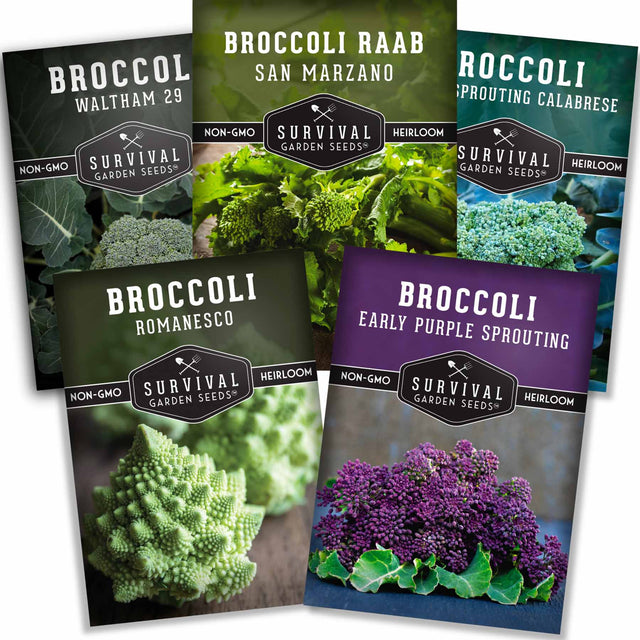 Five packages of Survival Garden Seeds with different types of broccoli on a white background