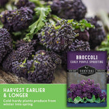 Purple broccoli sprouts with green leaves shown in a close-up, alongside a seed packet labeled 'Broccoli Early Purple Sprouting' and text reading 'Harvest Earlier & Longer' and 'Cold-hardy plants produce from winter into spring.'.
