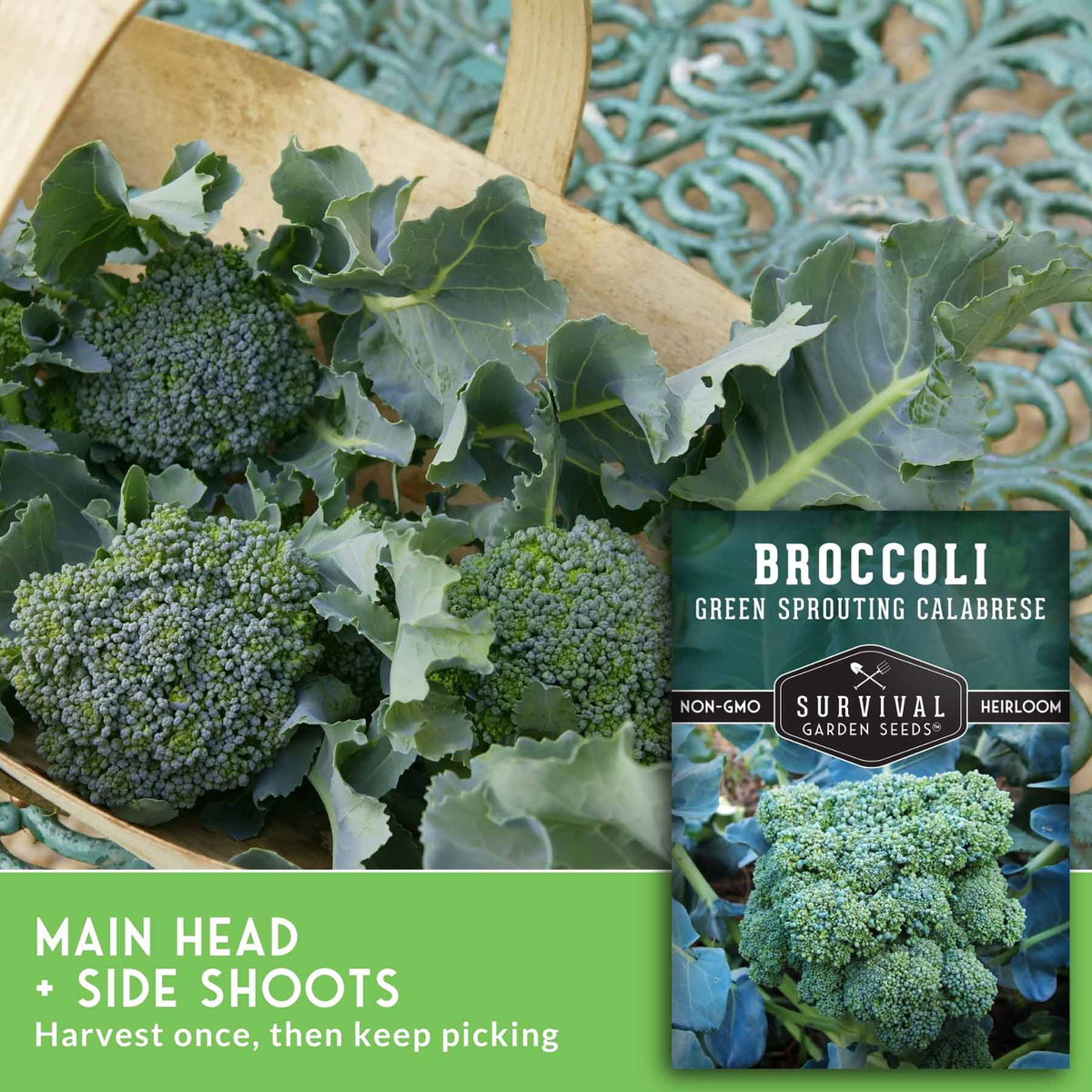 Fresh broccoli florets with large green leaves displayed in a wooden bowl alongside a seed packet labeled 'Broccoli Green Sprouting Calabrese' by Survival Garden Seeds, with harvest text on a green banner.