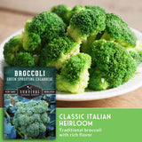 Fresh green broccoli florets on a white plate with a seed packet and text overlay reading 'Broccoli Green Sprouting Calabrese' and 'Classic Italian Heirloom Traditional broccoli with rich flavor.'.
