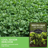 Broccoli plant field with a seed packet overlay labeled 'Broccoli Raab San Marzano' and text reading 'Cool Season Heirloom' and 'Drought-resistant with high yields.'.