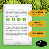 An informational poster card for Romanesco Broccoli seeds from Survival Garden Seeds, featuring a white card with text, icons, and growing tips, set against a green background with a close-up of Romanesco florets.