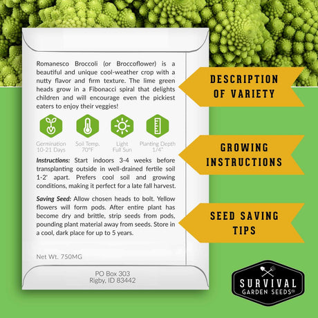 An informational poster card for Romanesco Broccoli seeds from Survival Garden Seeds, featuring a white card with text, icons, and growing tips, set against a green background with a close-up of Romanesco florets.
