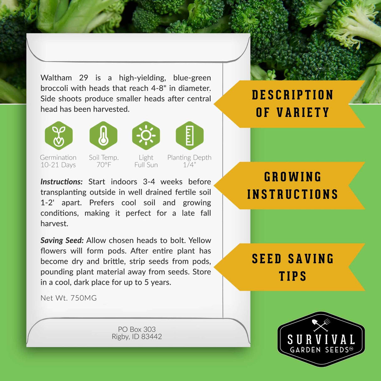 An informational poster for Waltham 29 broccoli seeds from Survival Garden Seeds, featuring a white card with growing instructions, seed-saving tips, and care icons, set against a green broccoli leaf background with yellow callout arrows.