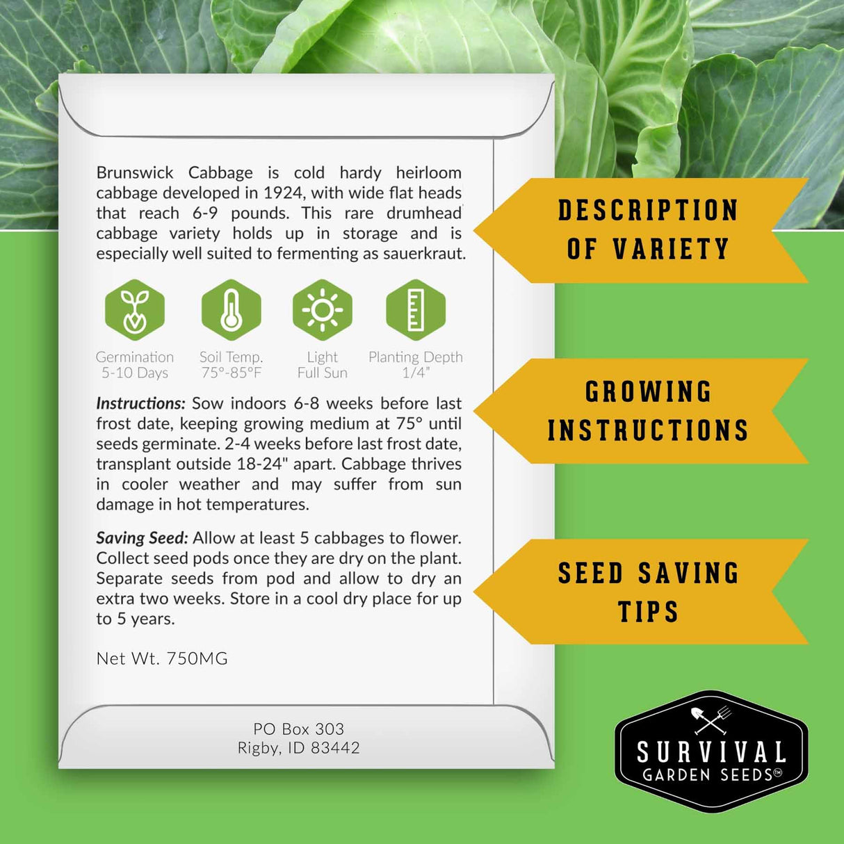 An informational product card for Survival Garden Seeds' Brunswick Cabbage, set against a green leafy background. The card details the variety's characteristics, planting instructions, and seed-saving tips, with three yellow callout banners on the right labeled 'DESCRIPTION OF VARIETY', 'GROWING INSTRUCTIONS', and 'SEED SAVING TIPS'.