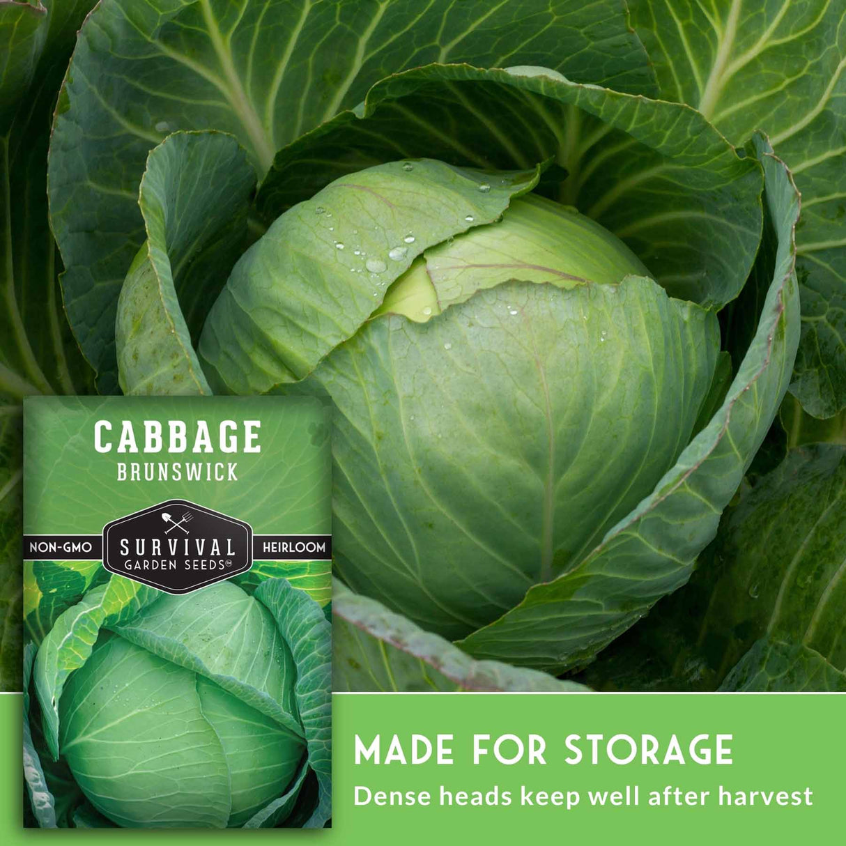 Survival Garden Seeds Cabbage Brunswick heirloom seeds, featuring a close-up photo of a fresh green cabbage with water droplets, a product label, and a green banner that reads 'MADE FOR STORAGE'.